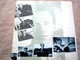 Sting - The Dream Of The Blue Turtles (Альбом) - изображение 5
