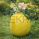 Керамічна ваза Lemon 14.5 х 14.2 х 18 см (998-008) - изображение 2