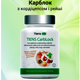 CarbLock з кордіцепсом та рейші Тяньші, рівень цукру. Тiens Group 60 капсул - зображення 1