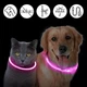 Светодиодный ошейник с USB-зарядкой iPets подходит для собак и кошек, регулируется - изображение 1