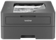 Принтер Brother HLL2402DYJ1 (7216391) - изображение 2