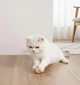 Интерактивная игрушка шарик для котов smart мяч Pet Gravity с хаотичным движением и светится - изображение 1