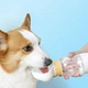 Портативна поїлка пляшка для води 2в1 для собак і котів з контейнером для корму, дорожня пляшка для води(350мл+200мл) - зображення 2