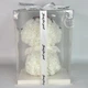 Подарок мальтийская болонка из фоамирана 25×15 см ручной работы, собачка из 3D роз в подарочной коробке с бантом, KRDG-22-White/Red - изображение 7