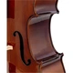 Виолончель Stentor Student I Cello Outfit 1/2 (1102E2) - изображение 10
