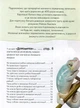 Домашні улюбленці. Енциклопедія для допитливих - изображение 2