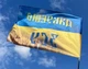Прапор України пшеничне поле «Дякуємо ЗСУ» 105х70 см PromoZP - зображення 2