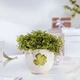 Чашка Villeroy & Boch With Love Good Luck 290 мл (1016898001) - зображення 3