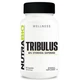 Трибулус NutraBio Tribulus Terrestris 60% Steroidal Saponins 90 Caps - зображення 1