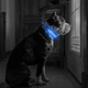 Светодиодный ошейник для собак Petify Luminous LED Collar L голубое небо, светящийся в темноте, 3 режима свечения, видимость до 100 м, регулируемый 41-54 см, полиэстер, от батарейки, Арт. XN40741 - изображение 1