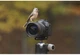 Фотоаппарат Canon EOS R6 Mark III + RF 24-105 f/4.0-7.1 IS STM (7084C031) - изображение 9
