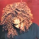 Janet Jackson - The Velvet Rope (2 платівки, Альбом, Перевидання) - зображення 1