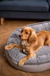 Лежак для собак Harley and Cho Donut Gray L 95x70 см (3102862) - изображение 8