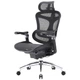 Офисное кресло Sihoo DORO C300 Pro Mesh Black (DORO-C300-PRO-M101) - изображение 1