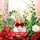 Vince Camuto Парфумована вода для жінок Bella Notte, 30 мл - зображення 2
