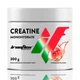 Креатин IronFlex Creatine Monohydrate, 300 грамм - Арбуз - изображение 1
