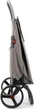 Сумка-візок Rolser Eco Pep 2 LRSG (PEP025-1041) - зображення 3