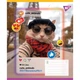 Зошит учнівський YES Cute animals 767728 18 арк. Різнокольоровий shop (4823092293268) - зображення 5