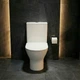 Унитаз-компакт Ravak WC Concept Pro Combi RimOff с бачком и с сиденьем Soft Close дюропласт RKUM100008 - изображение 2