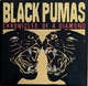 Black Pumas - Chronicles Of A Diamond (Прозорий, Альбом) - зображення 1