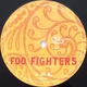 Foo Fighters - Skin And Bones (2 пластинки, Альбом, Переиздание) - изображение 6