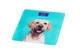 Весы Ardesto напольные Dog, 150кг, AAAx2 в комплекте, стекло, многоцветные (SCB-965DOG_ER) - изображение 4