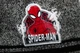 Marvel Spiderman шапка-рукавички набір для хлопчика зимовий сірий TH4064 GREY (52) - изображение 2