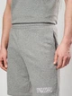 Шорты хлопковые короткие мужские Puma Essentials Graphics 69179003 S Medium Gray Heather (4069161973918) - изображение 4