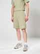Шорты хлопковые короткие мужские Puma Essentials Graphics 69179082 L Lux Army (4069161975615) - изображение 1