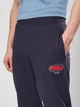 Спортивные штаны мужские Puma Essentials Graphics 69202516 M New Navy (4069161916960) - изображение 4