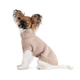 Светр Pet Fashion Sam для собак, XS бежевий - зображення 2