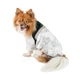 Куртка Pet Fashion Bony для собак, XS2 білий, зелений - изображение 2