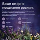 Валеріана з пасифлорою, шальвою, фолієвою кислотою та вітамінами B – Nature Love – 90 капсул - зображення 6