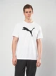 Футболка спортивная длинная мужская Puma Essentials Foundation 68254002 XL White с принтом (4067983393129) - изображение 1