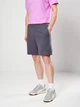 Шорты хлопковые для тренировок короткие мужские Puma Train All Day Foundations 52590999 L Galactic Gray (4069162175366) - изображение 1