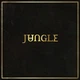 Виниловая пластинка Jungle – Jungle - изображение 1