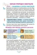 Мистецтво 4 клас НУШ. Підручник. Людмила Кондратова. Богдан - изображение 6