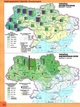 Атлас 8 клас НУШ Географія природа, природокористування. Руденко І. С.Оріон - изображение 3