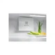 Холодильник Electrolux ERD6DE18S4 ELECTROLUX ERD6DE18S4 953991 - изображение 3