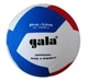 М'яч волейбольний GALA PRO-LINE 12 BV5585S - зображення 1