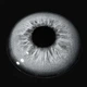 Серые контактные линзы - Айс Эндорфин Грей 2шт. от ELITE Lens - изображение 7