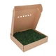 Стабилизированный Мох - Ягель - 1 кг - Forest Green - изображение 1