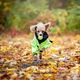 Водонепроницаемый костюм для собак PAIKKA Rain Suit 25 - изображение 8