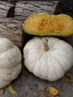 Насіння гарбуза “Flat White Boer Pumkin” /“Плоский Білий Бур”(10 шт) - изображение 3