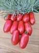 Семена томатов Сан Марцано (25 шт) - изображение 1