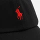 Мужская Кепка POLO 2026 Черный - изображение 4