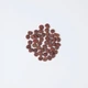 Корм сухой Carnilove True Fresh Cat Fresh Turkey для взрослых котов с индейкой 1,8 кг - изображение 2