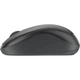 Мышка Logitech M240 Silent for Business Wireless/Bluetooth Graphite - изображение 2