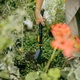 Совок для квітів Fiskars OneClick 7,3 см (1080693) - зображення 3