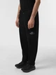 Брюки мужские The North Face M Drew Peak 36 Чорний NF0A8ECBJK31 - изображение 2